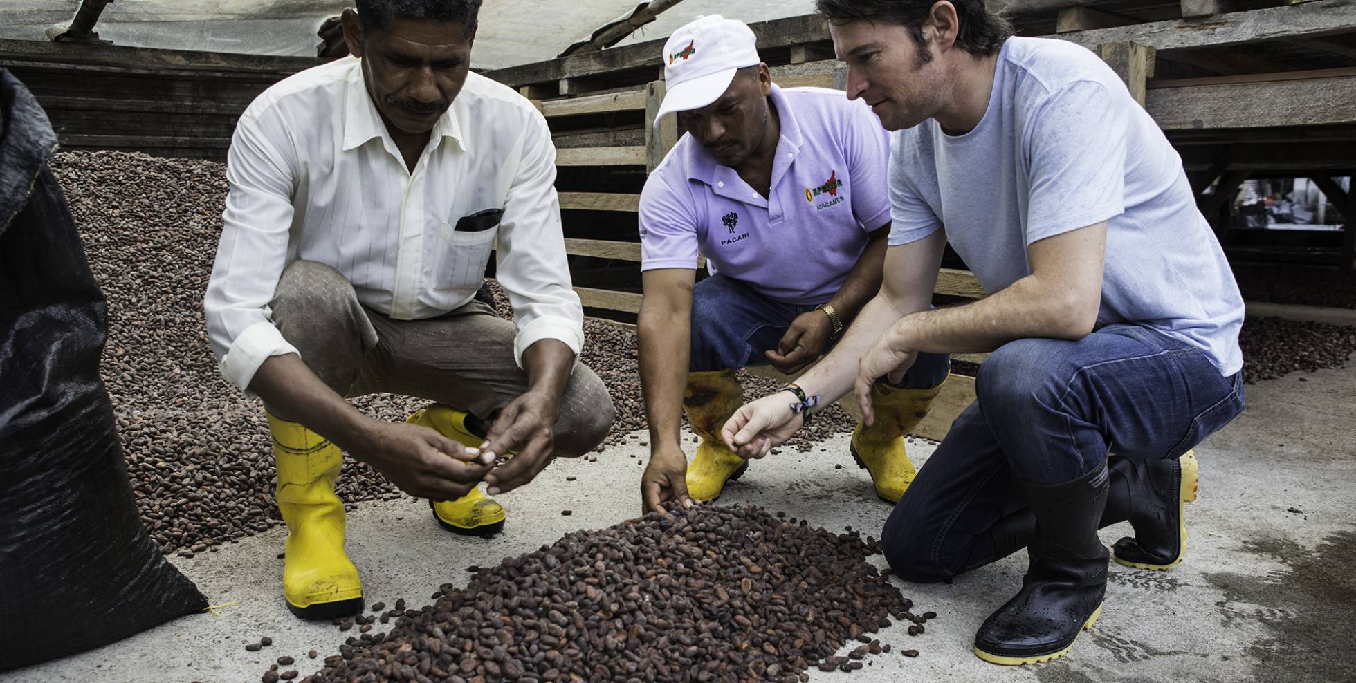 Chocolates con Ecosistema Propio
