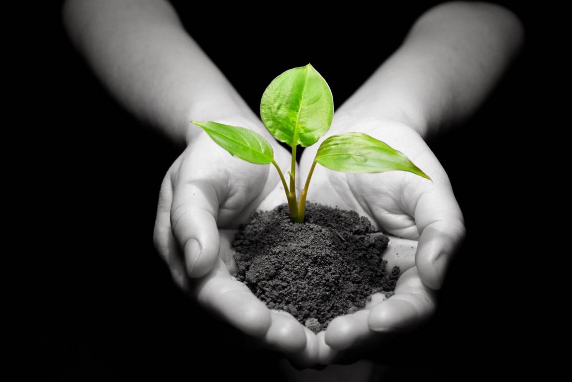 La Agricultura Biodinámica ya es una realidad